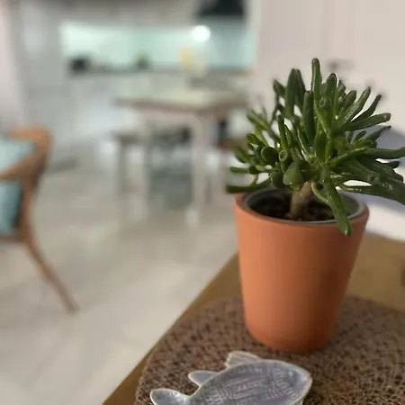 Casa Lola Conil, Azotea Al Mar Y Parking Solo Familias O Parejas بيت للعطل كونيل ذي لا فرونتيرا