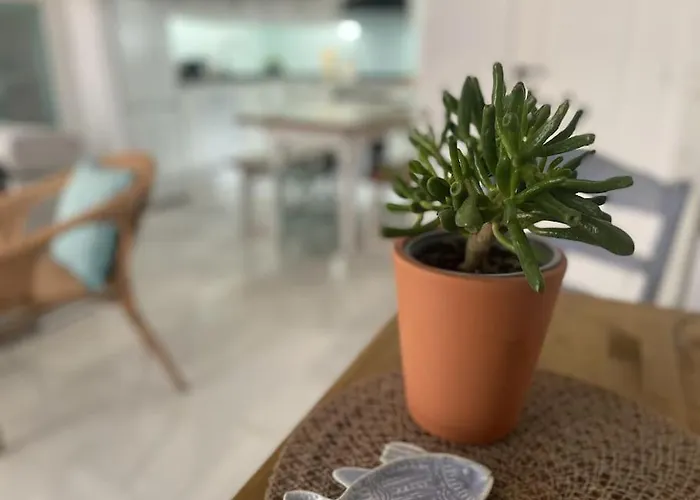 Casa Lola Conil, Azotea Al Mar Y Parking Solo Familias O Parejas Holiday home Conil De La Frontera