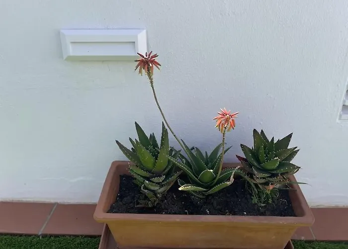 Casa Lola Conil, Azotea Al Mar Y Parking Solo Familias O Parejas Holiday home Conil De La Frontera